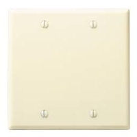 Two Gang Blank Plate