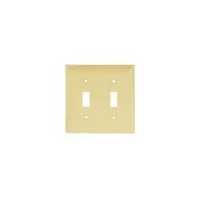 Two Gang Switch Plate