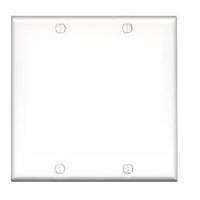Two Gang Blank Plate