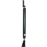 Pneumatic Door Closer