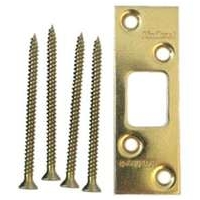 Polished Brass Deadbolt Strike