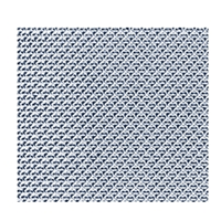 Prismatic Fluorescent Light Panel