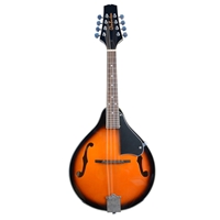 Glen Burton A-Style Mandolin