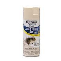 Rustoleum Painters Touch X2 Spray Paint