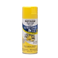 Rustoleum Painters Touch X2 Spray Paint
