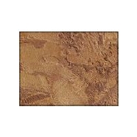 Transparent Stain