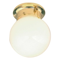 1 Light Opal Globe w/ Pull Chain