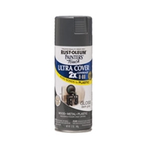 Rustoleum Painters Touch X2 Spray Paint
