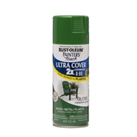 Rustoleum Painters Touch X2 Spray Paint