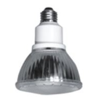 LED Outdoor Flood Light Bulbs