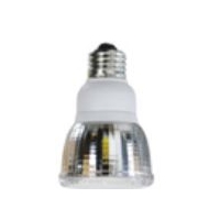 LED Outdoor Flood Light Bulbs