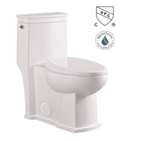 Toilet Elongated One Piece Dual Flush 1.28 GPF