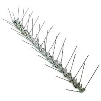 Stainless Steel Bird Spike