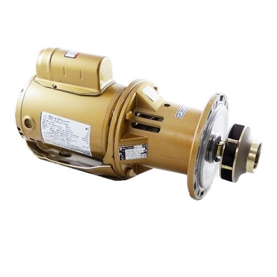 Model  E 60 SERIES PUMP  1EF001LF