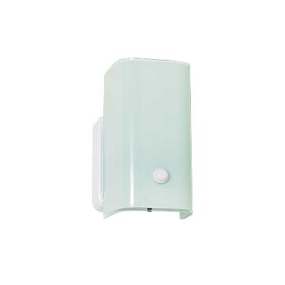Single Light  Wall Fixture with Switch